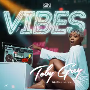 Toby Grey - Vibes (Prod. By STG)